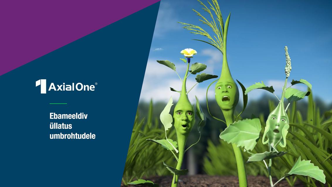 Axial One banner 3