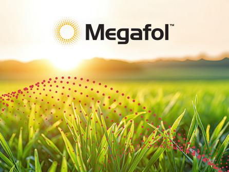 Megafol Thumbnail 770 px