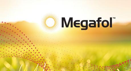 Megafol teaser