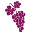 Viinamari, icon