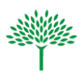 Puukoolid