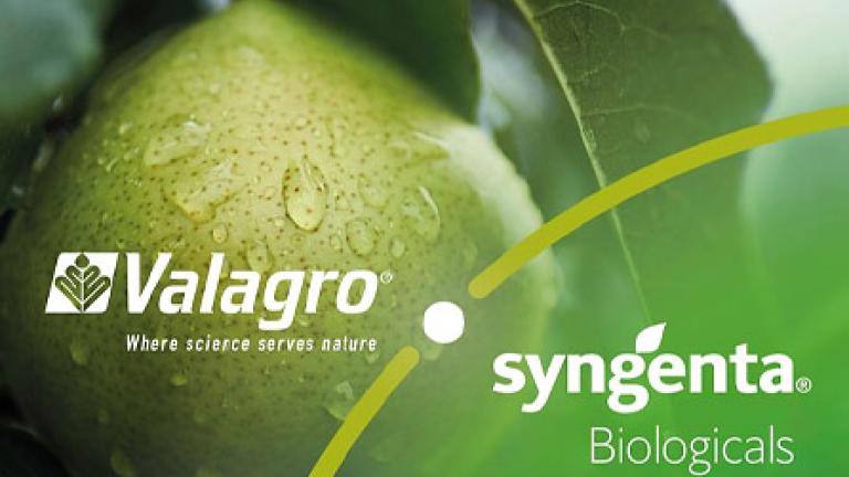 Syngenta biologicals