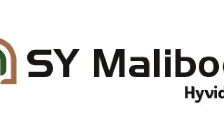 SY Maliboo logo NEW