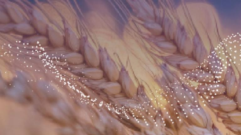 Syngenta biologicals