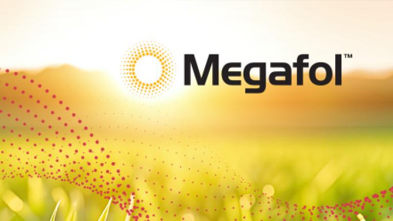 Megafol teaser