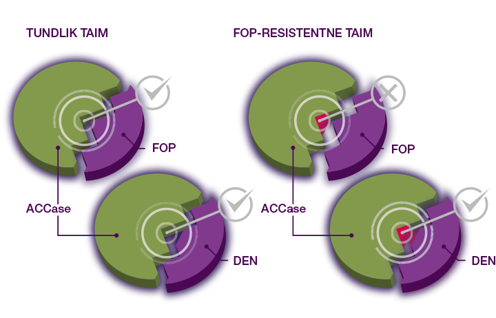 Axial icon resistance scheme ACCase