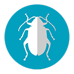Phyllotreta - flea_beetle, maakirp