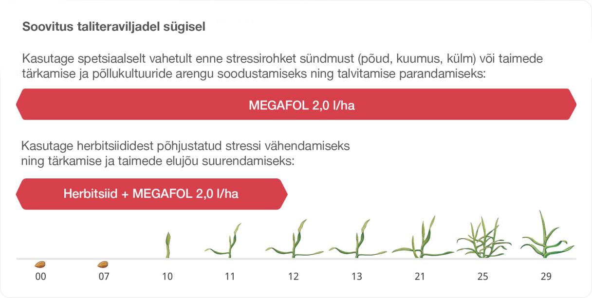Megafol autumn use crop guide, Estonia