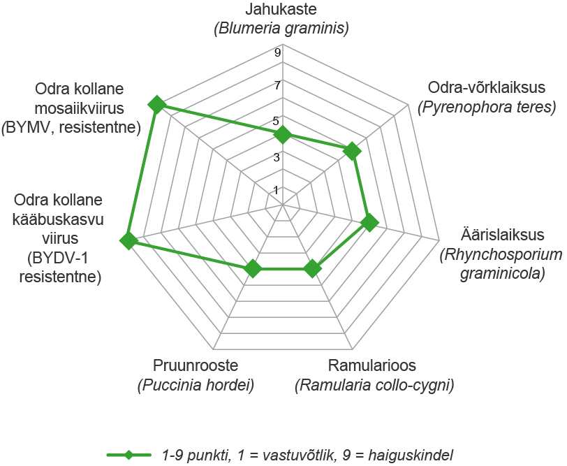 SY Zoomba disease resistance v2