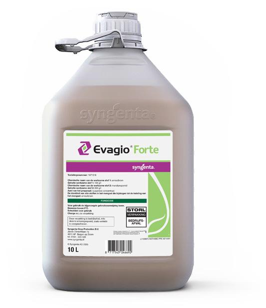 Evagio Forte package 4
