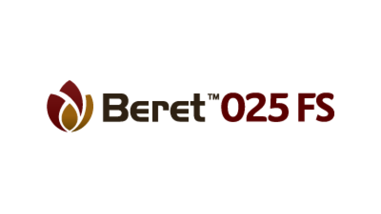 Beret 025 FS logo